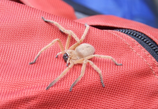 Jeffs Paria Canyon 2010 224